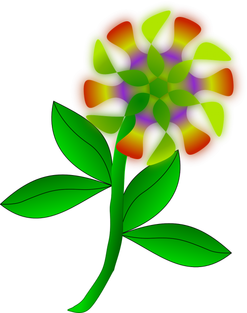 flower plant petals