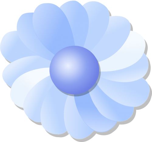 flower blue petals