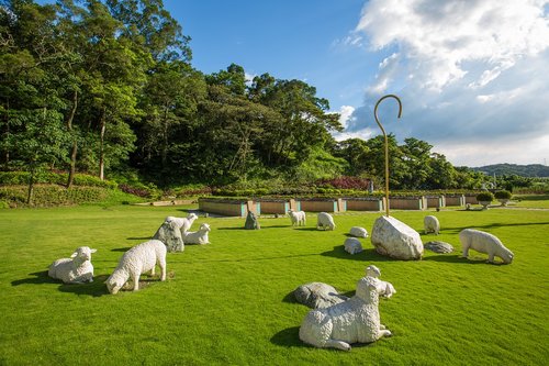 flower  cemetery  memorial