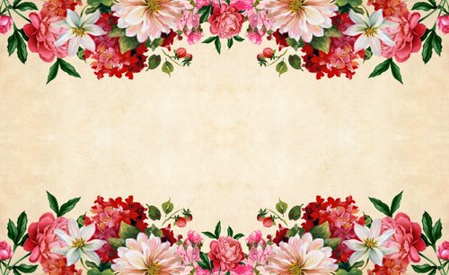 flower  floral  paper