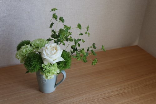 flower  green  white