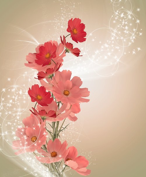 flower  background  postcard