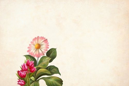 flower  floral  background