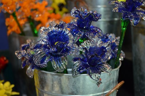 flower  glass  bucket