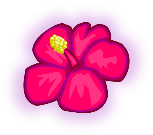 flower hawaiian rose