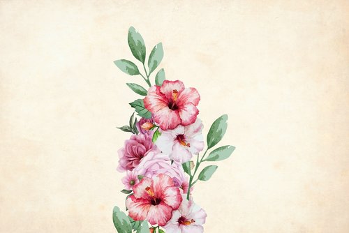 flower  floral  background