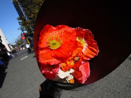 flower selling red