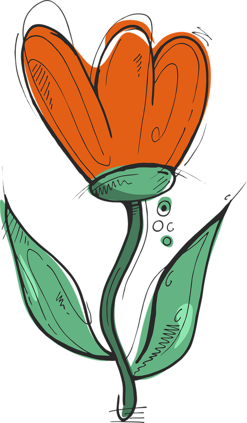 flower  illustration of a flower  tulip