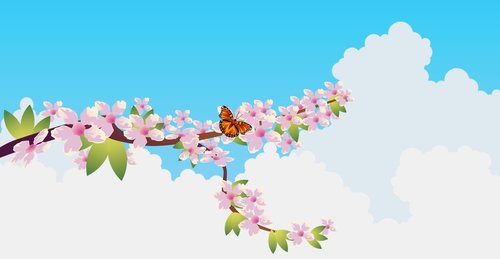flower  butterfly  blossom