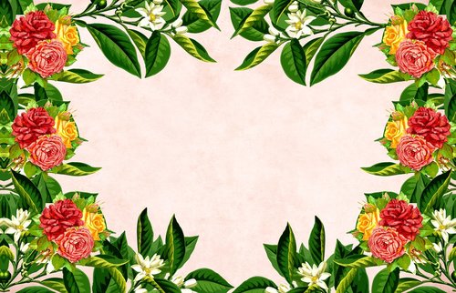 flower  floral  background