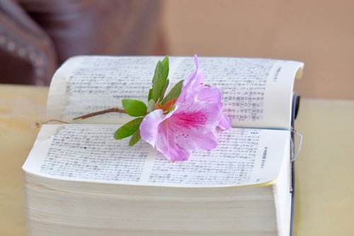 flower  book  bible