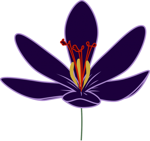 flower magenta floral