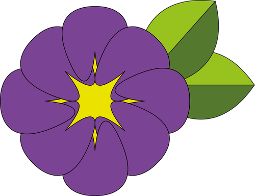 flower  purple  yellow