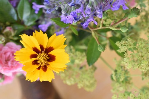 flower  yellow  bouquet