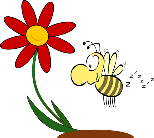 flower bee insect