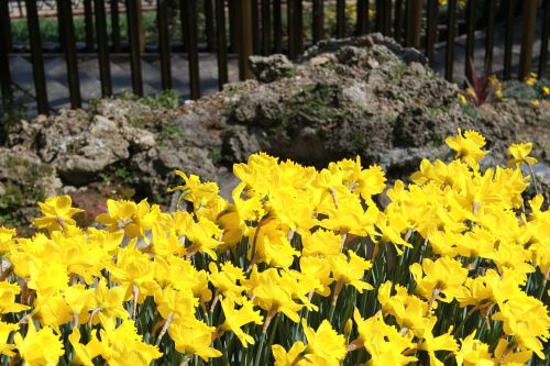 flower garden park