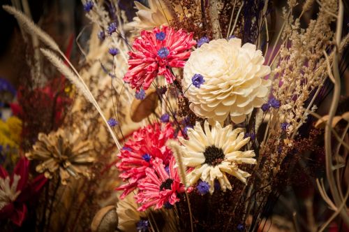 flower plant decoration