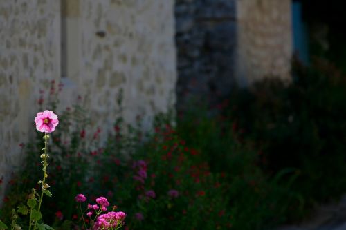 flower house facade