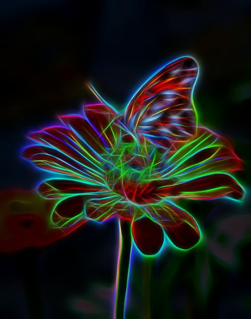 flower butterfly light