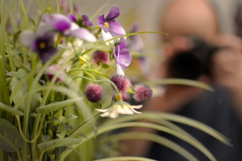 flower photographer mirror