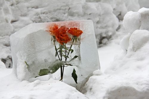 flower ice deco