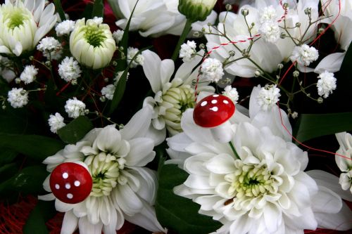 flower mushroom white