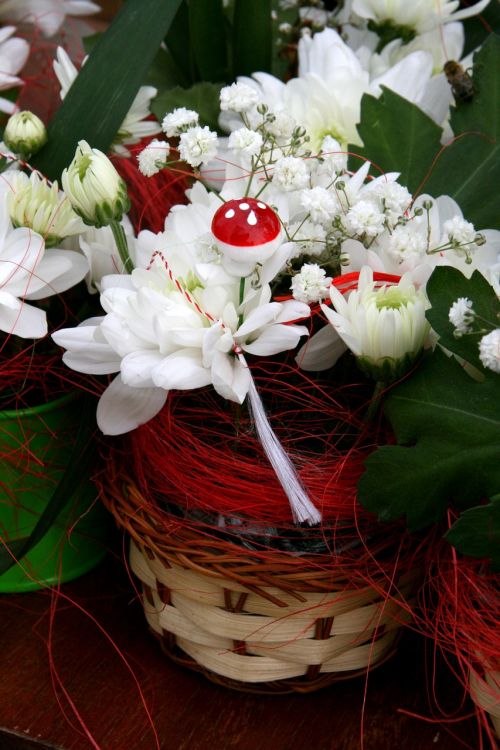 flower mushroom white