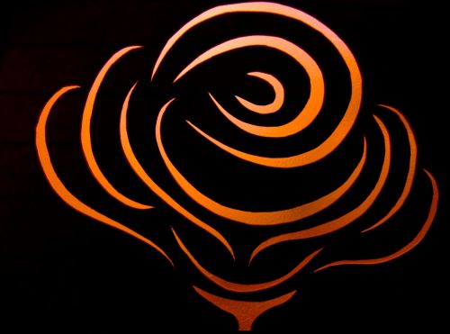 flower rose contour