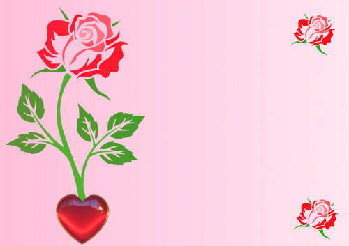 flower rose heart