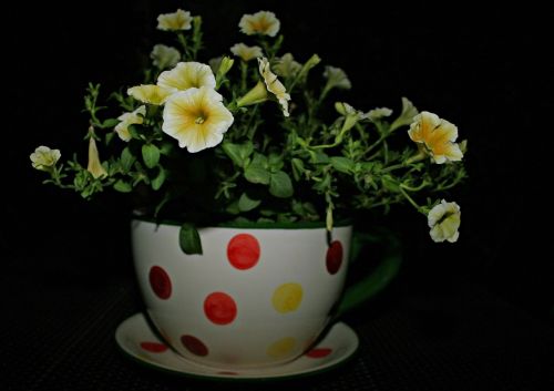 flower cup of bouquet