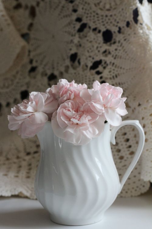 flower pink white