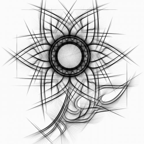 flower abstract pencil