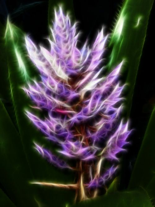 flower digital art nature