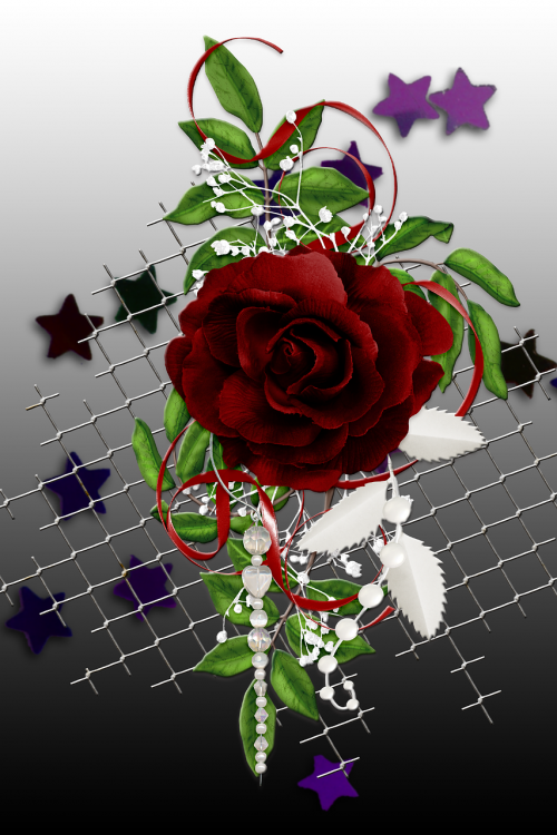 flower arrangement stars