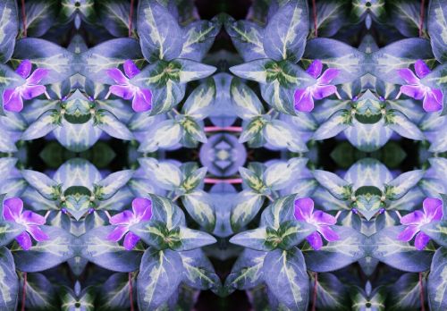 Flower &amp; Foliage Purple Repeat