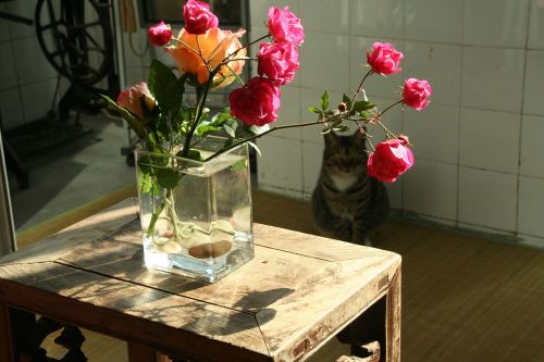 flower arrangement red flowers flowers