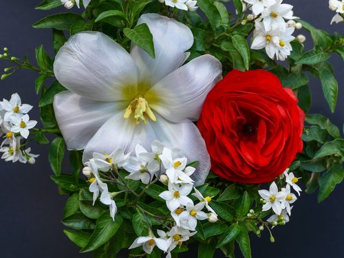 flower arrangement  red ranunculus  jasmin
