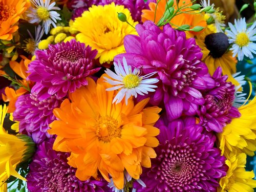 flower arrangement  colorful  still life