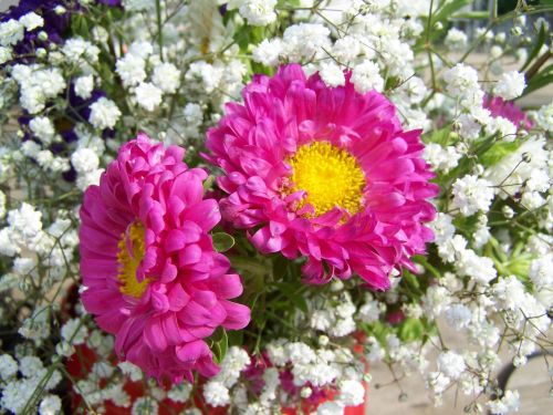 flower bouquet pinkish-white cut flower