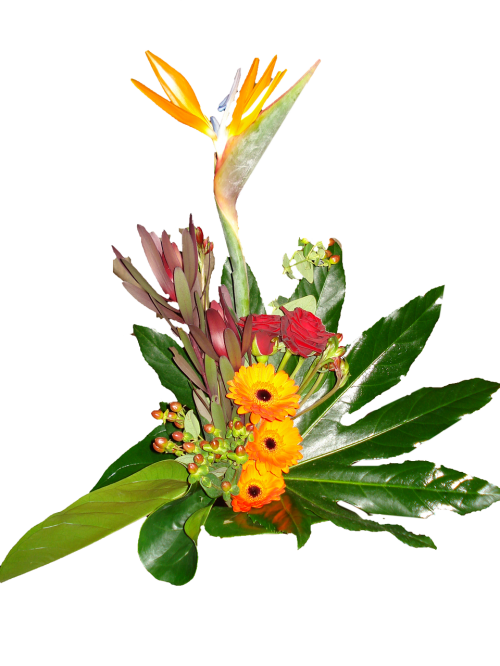 flower bouquet gerbera bird of paradise