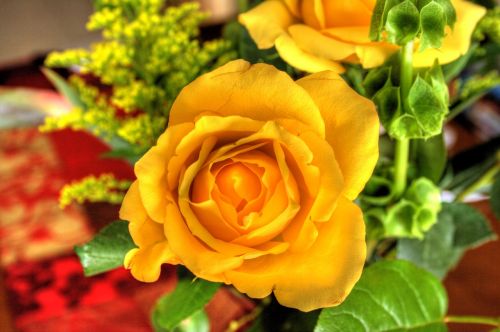 flower bouquet roses yellow