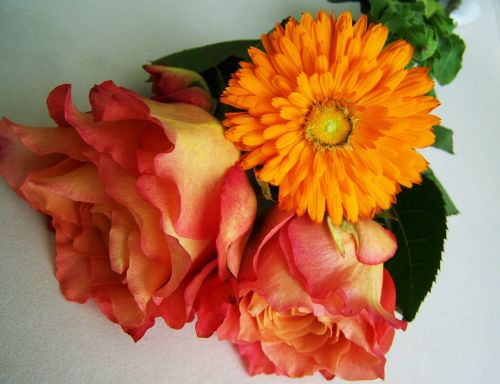 flower bouquet orange-pink flowers cut flower