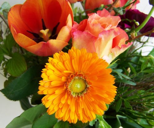 flower bouquet yellow-orange cut flower