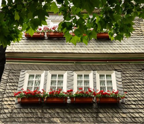 flower boxes home window