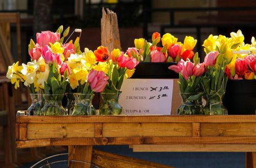 flower cart flower sale