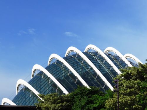 flower dome garden by the bay singapore