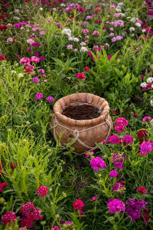 flower field bucket baby