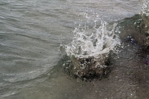 Flower Form Water Splash