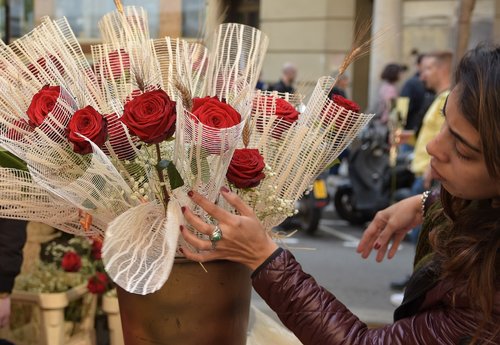 flower girl  sant jordi  roses