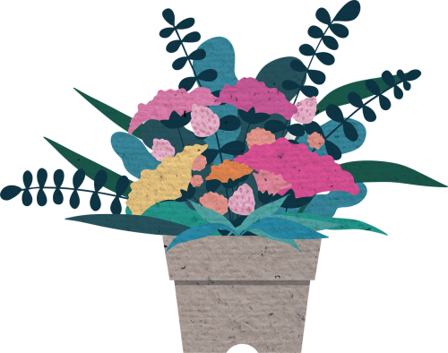 flower illustration potted plant carnation